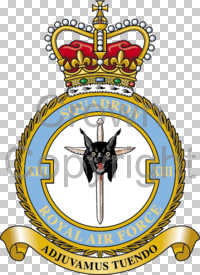 Coat of arms (crest) of the No 13 Squadron, Royal Air Force