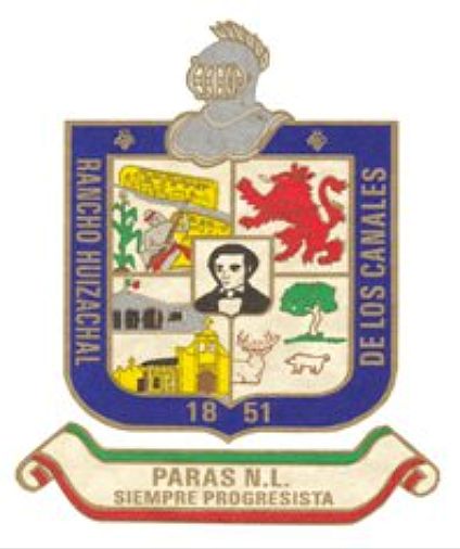 Arms of Parás