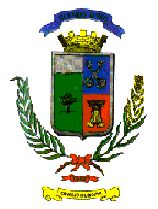 Arms (crest) of Buenos Aires (canton)