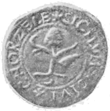 Coat of arms (crest) of Chorzele