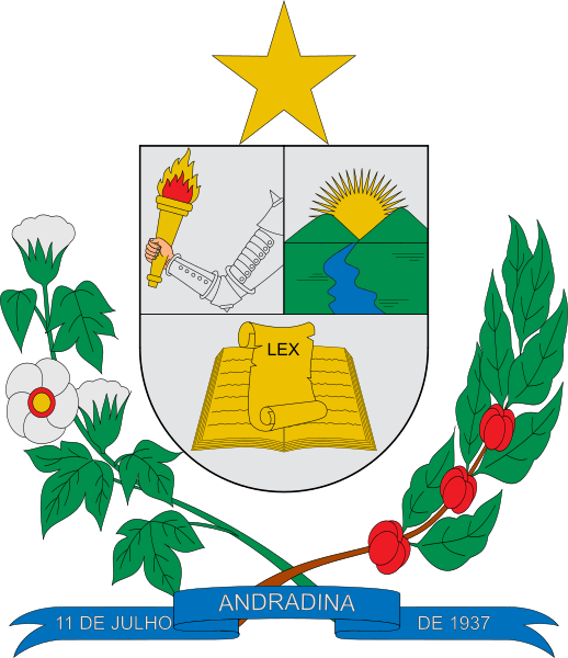 Coat of arms (crest) of Andradina