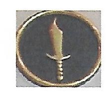 File:14th Infantry Division, Pakistan Army.jpg