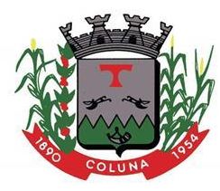 Arms (crest) of Coluna (Minas Gerais)