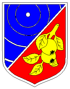 Arms of Türi