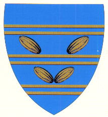 Blason de Mondicourt/Arms of Mondicourt