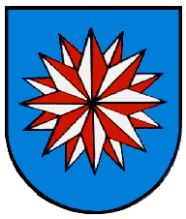 Wappen von Bitzfeld/Arms (crest) of Bitzfeld