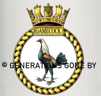 File:HMS Game Cock, Royal Navy.jpg