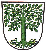 Wappen von Waldmünchen