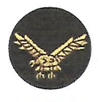 File:19th Infantry Division, Pakistan Army.jpg