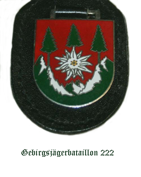File:Mountain Jaeger Battalion 222, German Army.png
