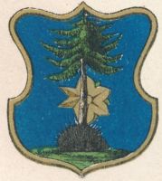 Arms (crest) of Rychnov nad Malší