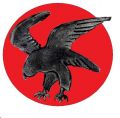 1st Squadron, 8th Wing, Swedish Air Force.jpg