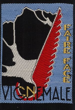 Coat of arms (crest) of Groupement Vignemale, Jeunesse et Montagne