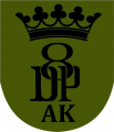 8th Home Army Infantry Division, Polish Army3.png