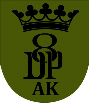 8th Home Army Infantry Division, Polish Army3.png