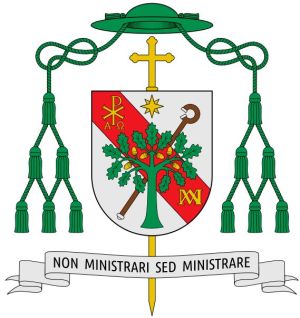 Arms of José María Gil Tamayo
