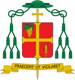 Arms of Tommaso Ghirelli