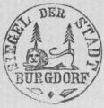Burgdorf (Hannover)1892.jpg