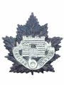6th (Western Canada) Battalion, CEF.jpg