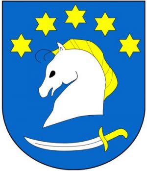 Coat of arms (crest) of Dziemiany