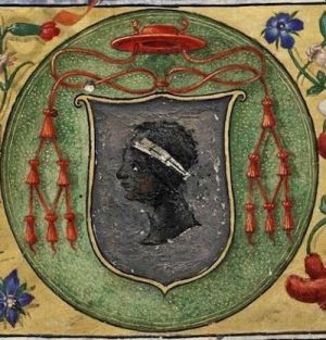 Arms of Roberto Pucci