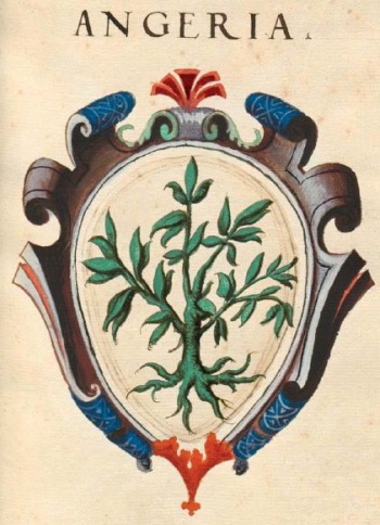 Stemma di Angera/Arms (crest) of Angera
