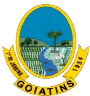 Brasão de Goiatins/Arms (crest) of Goiatins