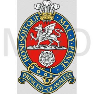 The Princess of Wales's Royal Regiment (Queen's and Royal Hampshires), British Army.jpg