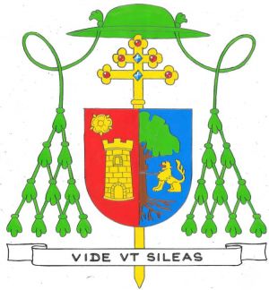 Arms (crest) of Santo Rocco Gangemi