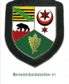 Home Defence Battalion 41, German Army.png