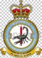 No 3 Squadron, Royal Air Force Regiment.jpg