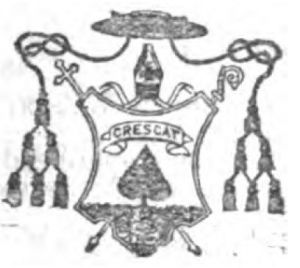 Arms of Leo Michael Haid