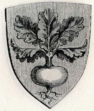 Arms (crest) of Rapolano Terme