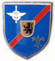 Supply Battalion 10, German Army.png