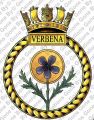 HMS Verbena, Royal Navy.jpg