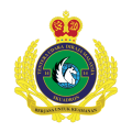 No 14 Squadron, Royal Malaysian Air Force.png