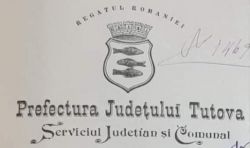 Arms (crest) of Tutova (county)