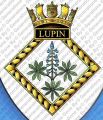 HMS Lupin, Royal Navy.jpg
