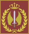 Special Forces Brigade, Royal Jordanian Army.png