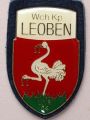 Guard Company Leoben, Austria Army.jpg