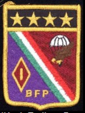 1st Parachute Fusiliers Battalion, Mexican Air Force.jpg
