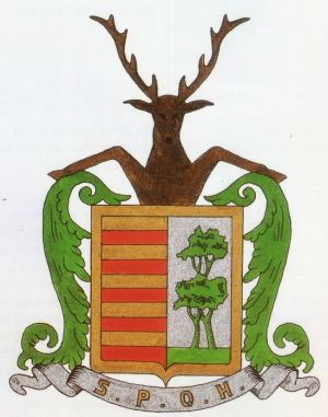 Wapen van Hasselt (Limburg)/Arms (crest) of Hasselt (Limburg)