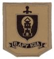 Intelligence Support Battalion, Argentine Army.jpg