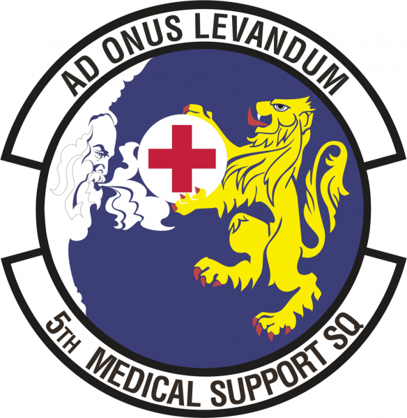 File:5th Medical Support Squadron, US Air Force.png