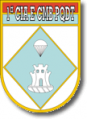 1st Parachute Combat Engineer Company, Brazilian Army.png