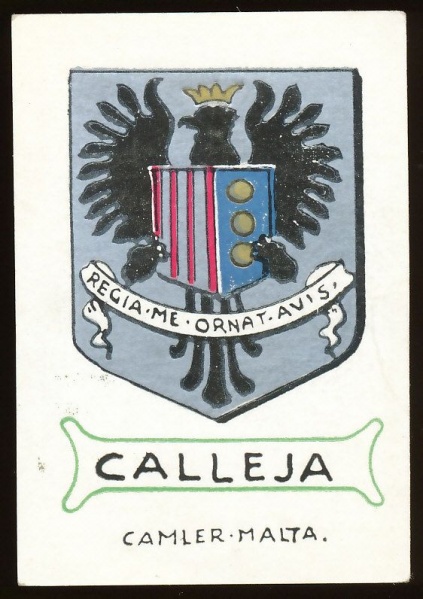 File:Calleja.cam.jpg