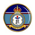 No 170 Squadron, Royal Air Force.jpg