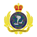 No 19 Squadron, Royal Malaysian Air Force.png
