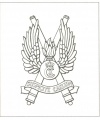 The Sealand Air Defence Regiment, Danish Army.jpg