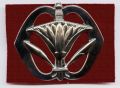 Thumbnail for version as of 11:09, 23 April 2020